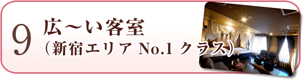 広~い客室 (新宿エリアNo.1クラス)