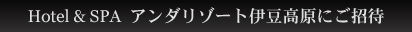 �z�e�����X�p�@�A���_���]�[�g�ɓ������ɂ�����