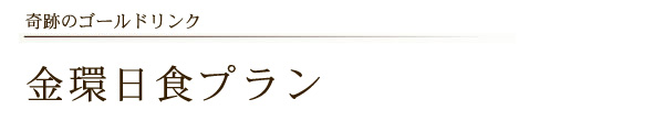 金環日食プラン
