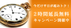 �z�e���o���A���E���]�[�g�E�V�e�B�[�E�r�W�l�X�E���u�z�e���������z�e�� ���l�X�@�����O�X�e�C�v����