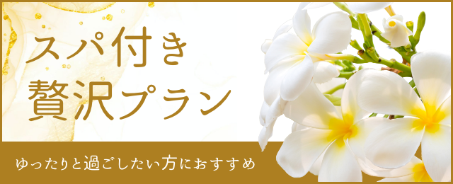 スパ付き贅沢プラン　ゆったりと過ごしたい方におすすめ