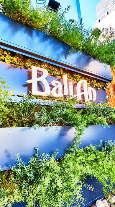 Hotel Bali An